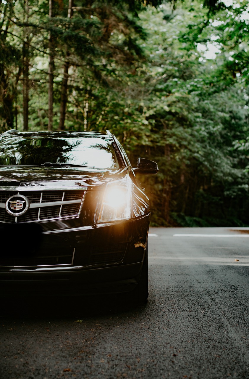 cadillac, suv, classic, auto, vehicle, automotive, cars, luxury, usa, shiny, american, cool, fancy, green, trees, forest, nature, road, driving, lights